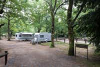 Parque de Campismo de Cerdeira  -  Wohnwagen- und Zeltstellplatz zwischen Bäumen auf dem Campingplatz