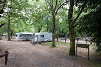 Parque de Campismo de Cerdeira  -  Wohnwagen- und Zeltstellplatz zwischen Bäumen auf dem Campingplatz