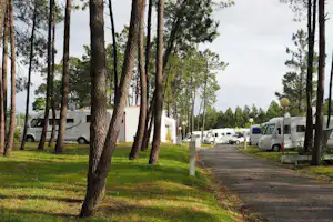 Parque de Campismo De Luso - Wohnwagen- und Zeltstellplatz zwischen Bäumen