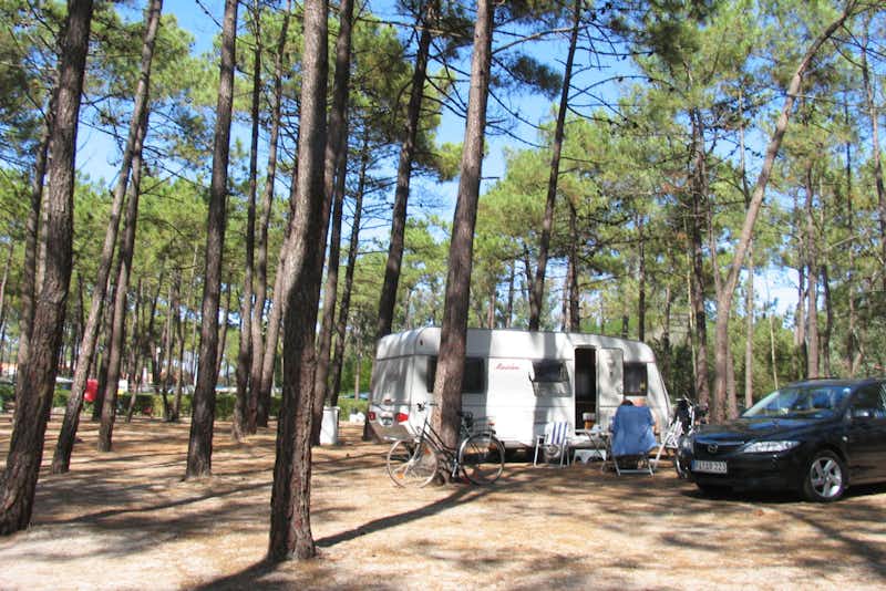 Parque de Campismo de Milfontes  -  Campingplatz zwischen Bäumen in der Nähe von der Atlantikküste Portugals