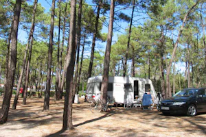 Parque de Campismo de Milfontes - Campingplatz zwischen Bäumen in der Nähe von der Atlantikküste Portugals