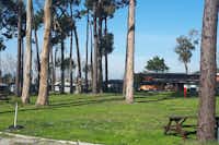 Parque de Campismo de Vila Chã  - Picknicktisch im Grünen, Sanitärgebäude und Stellplatz vom Campingplatz im Hintergrund