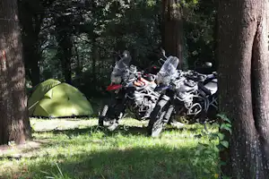 Grünes Zelt und mehrere Motorräder stehen im Schatten der Bäume auf einer Wiese am Campingplatz.