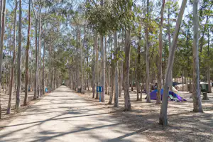Parque de Campismo do Serrão - Standplatz
