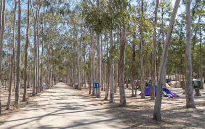 Parque de Campismo do Serrão