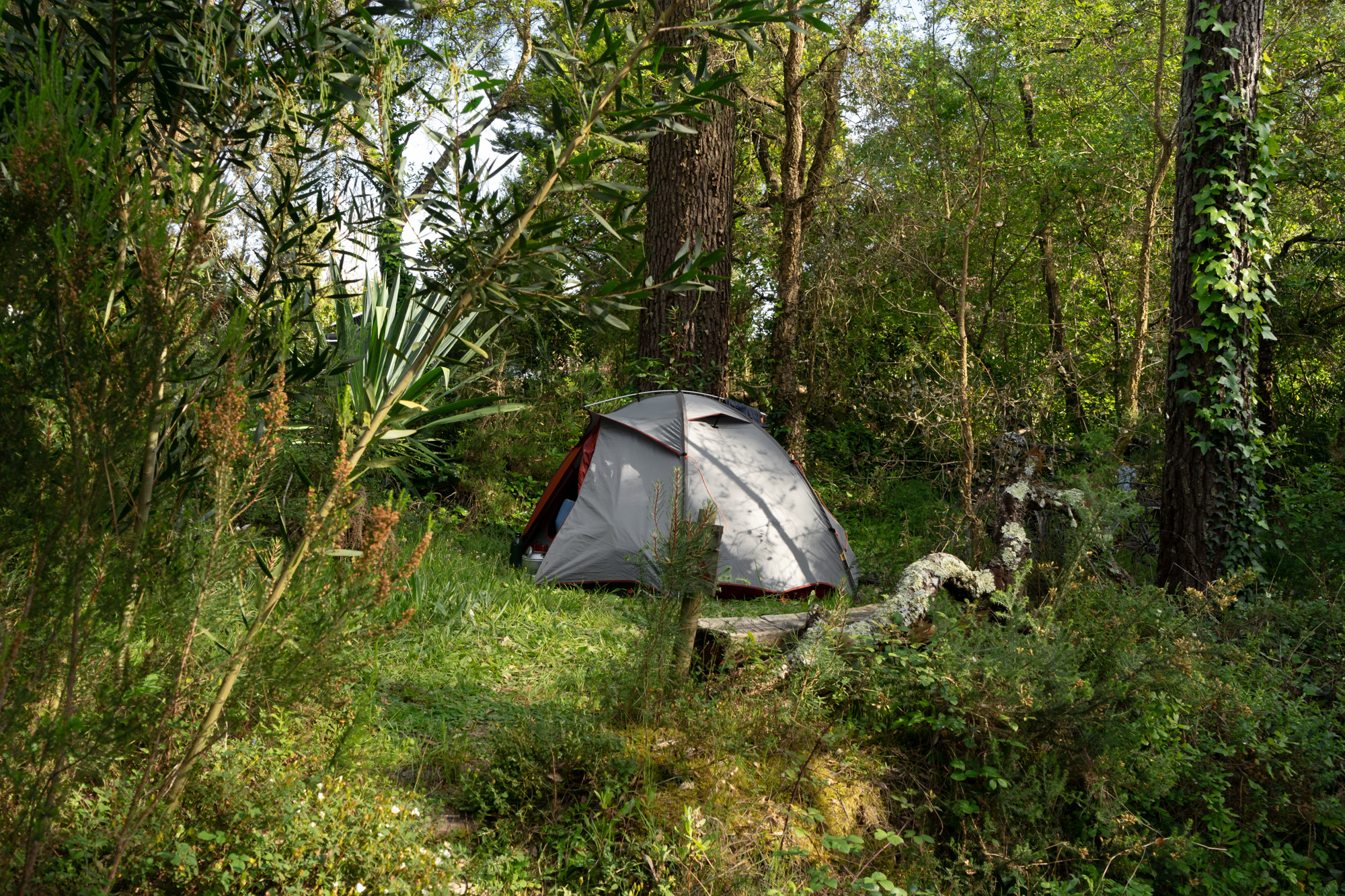 Parque de Campismo o Tamanco