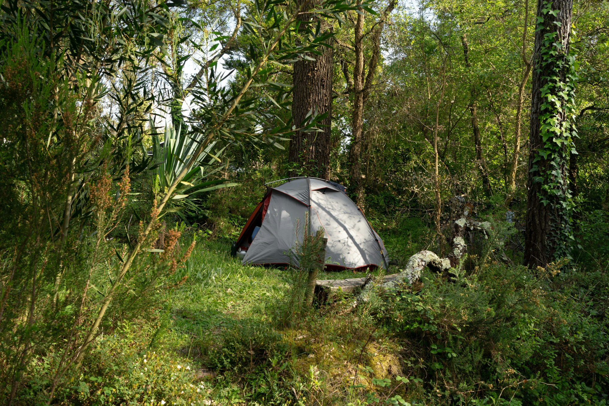 Parque de Campismo o Tamanco