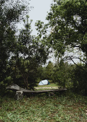 Parque de Campismo o Tamanco