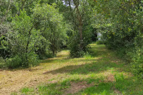 Parque de Campismo Rural da Silveira