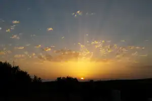 Sonnenuntergang am Campingplatz: goldener Himmel über dunklen Bäumen und einer weiten, ruhigen Landschaft.