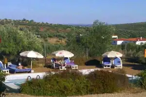 Poolbereich mit Sonnenliegen und Sonnenschirmen auf einer Terrasse, umgeben von Olivenhainen und einem Wohngebäude im Hintergrund.