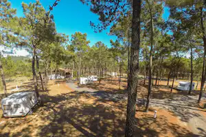 Parque de Campismo São Miguel - Stellplatz vom Campingplatz zwischen Bäumen