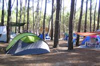 Parque de Campismo São Miguel  -  Zeltplatz vom Campingplatz im Grünen