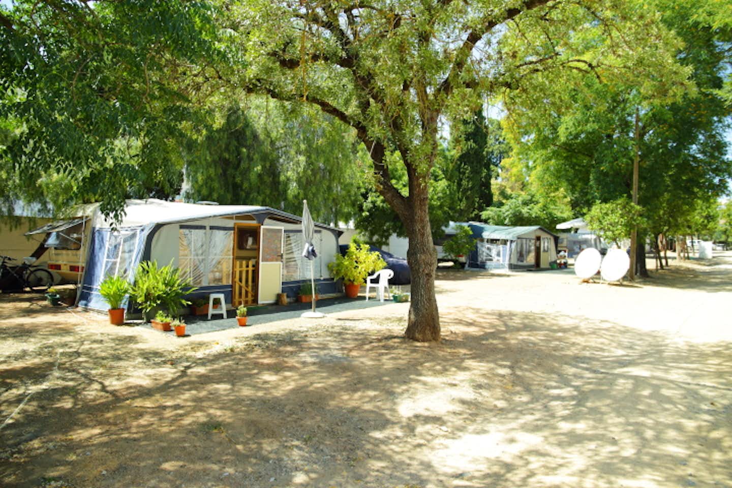 Parque Municipal de Campismo de Beja  -  Wohnwagen- und Zeltstellplatz vom Campingplatz im Grünen