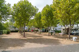 Parque Municipal de Campismo de Arganil - Standplatz