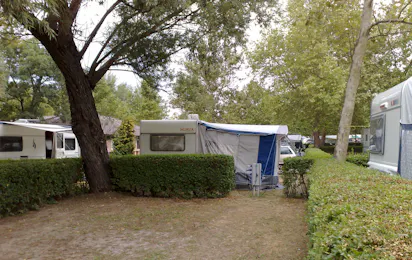 Pelso Camping