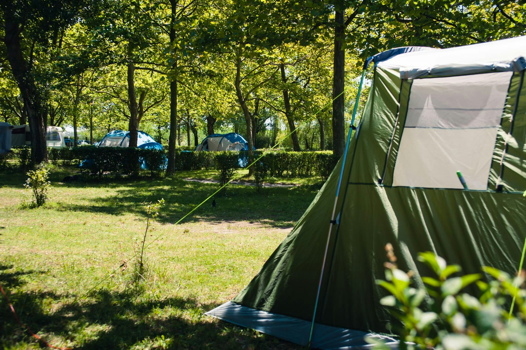 Pelso Camping