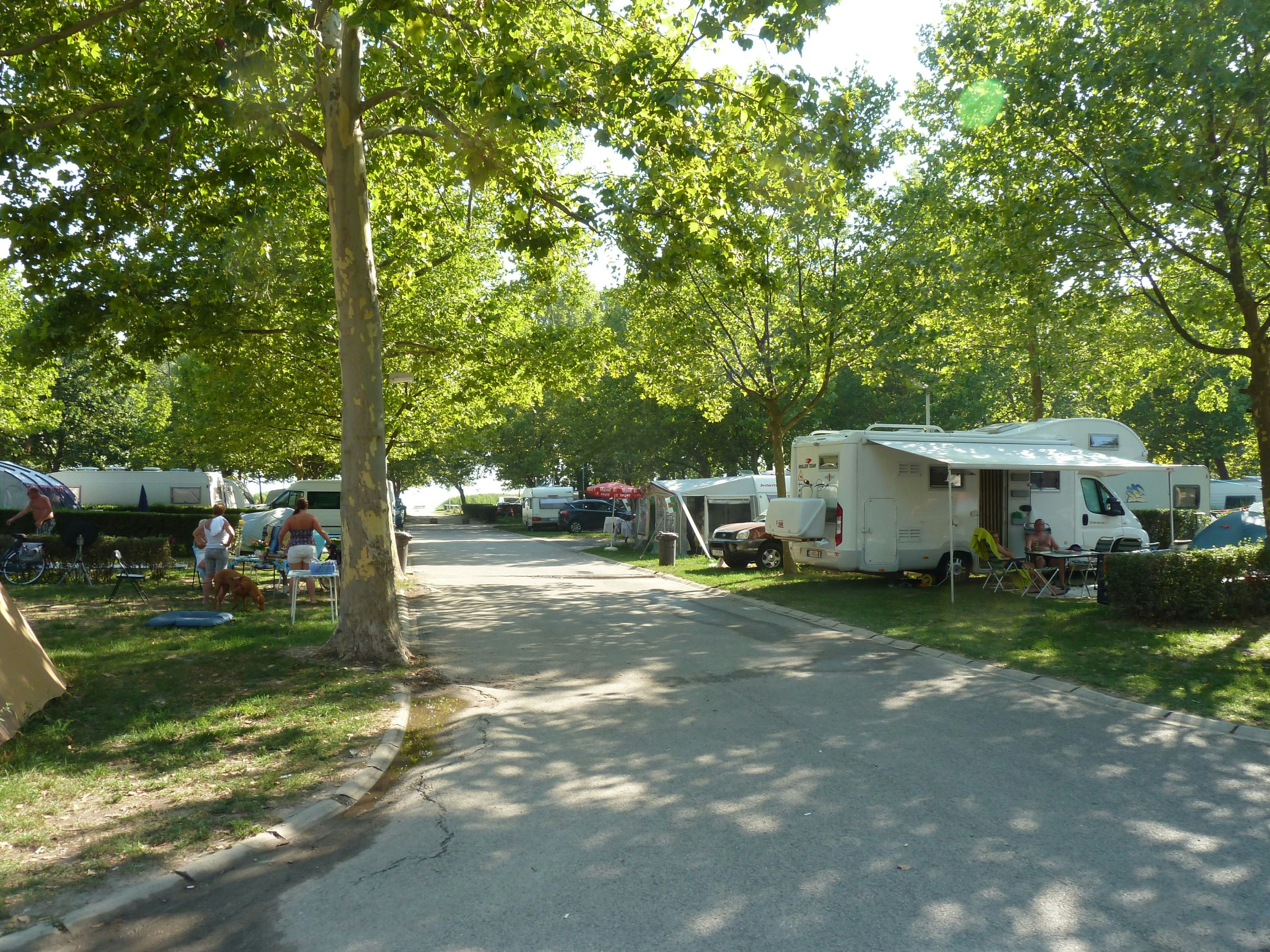Pelso Camping