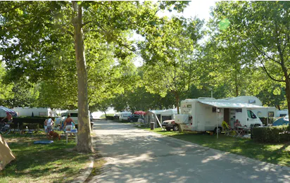 Pelso Camping