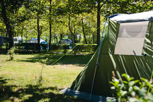 Grünes Campingzelt auf einem Grasplatz im Schatten von Bäumen, im Hintergrund weitere Zelte und ein Weg.