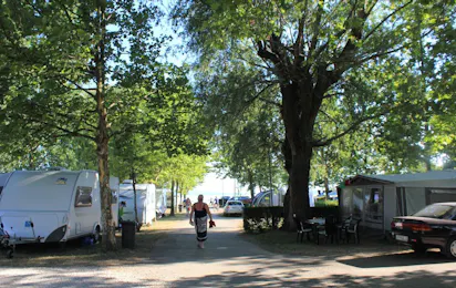 Pelso Camping