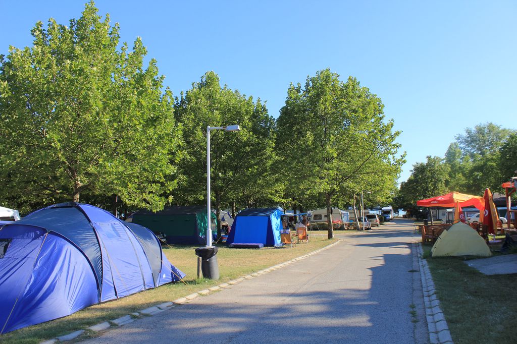 Reihe von Campingzelten entlang eines gepflasterten Wegs, mit Bäumen und Laterne am Rand.