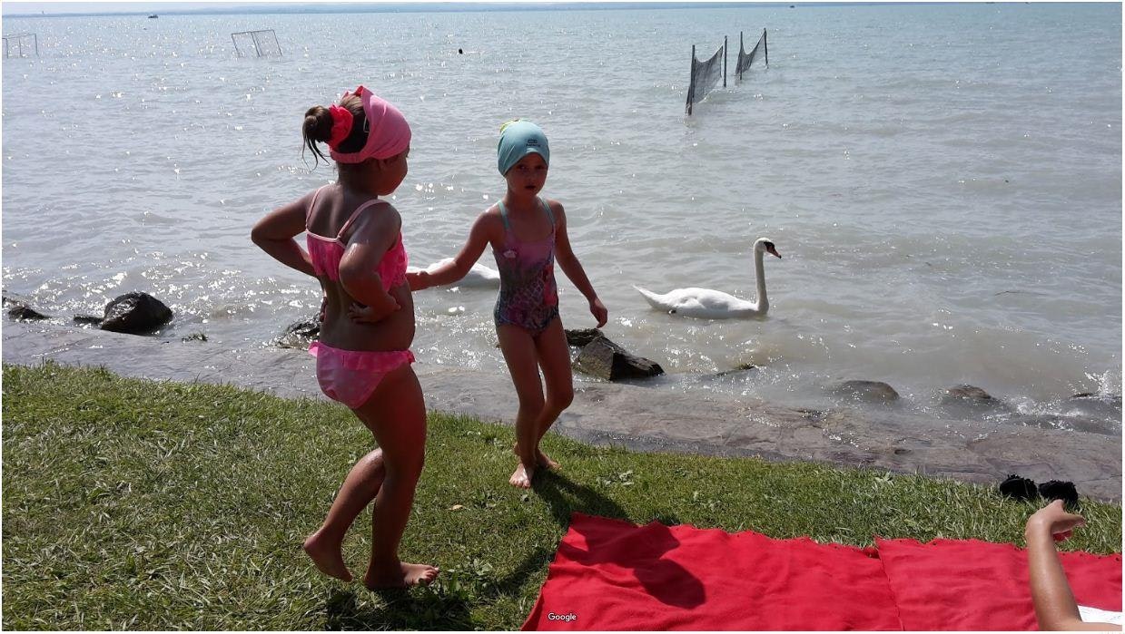 Pelso Camping