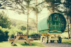 Grüner Zeltwohnwagen auf einem Campingplatz, mit Holzbank, Tisch und Bäumen im Hintergrund.