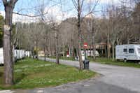 Penacova  Parque de Campismo Penacova - Wohnwagen- und Zeltstellplatz zwischen Bäumen