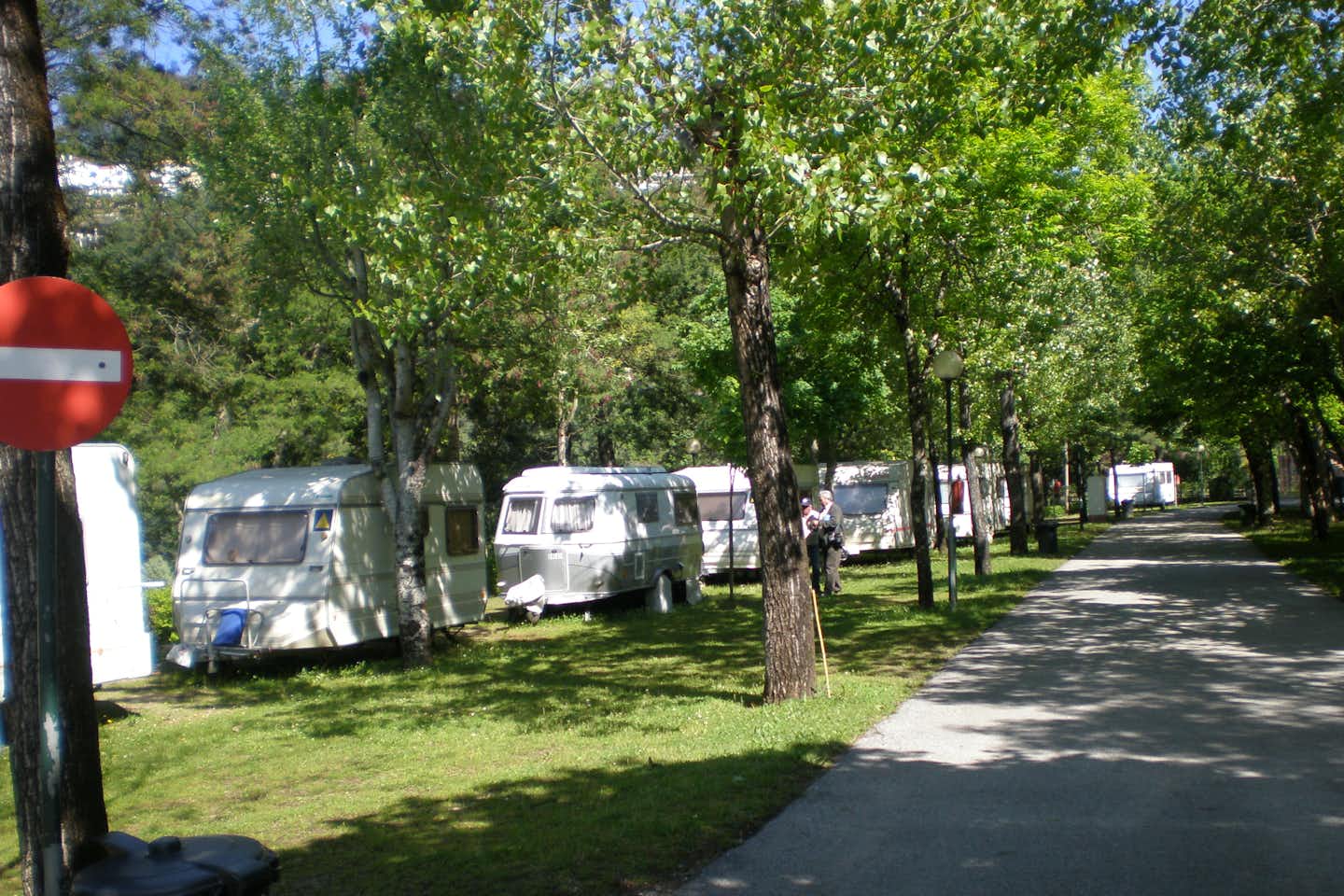Penacova  Parque de Campismo Penacova - Wohnwagen auf Stellplätzen bei einer Allee