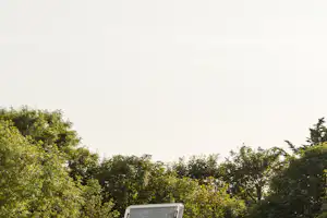 Baumkronen über dem Campingplatz vor hellem Himmel, im unteren Bildrand ist ein Teil eines Fahrzeugs zu sehen.