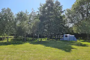 Piccadilly Caravan Park - Zeltwiese auf dem Campingplatz