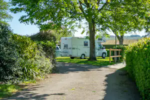 Wohnmobil auf einem Campingplatzweg zwischen Hecken und Bäumen, mit Holzbank und Sichtschutzzaun im Hintergrund.