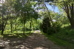 Waldweg auf einem Campingplatz, gesäumt von Bäumen und Sträuchern, mit Schatten auf dem Schotter.