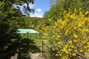 Blick vom Weg am Campingplatz auf den See, umgeben von Bäumen und gelben Blüten am Zaun.