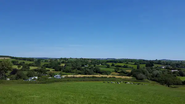 Pineapple Farm Holidays
