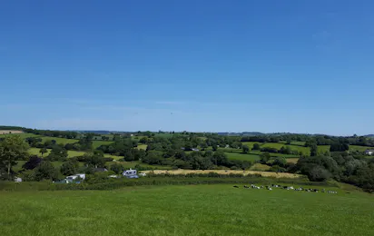 Pineapple Farm Holidays