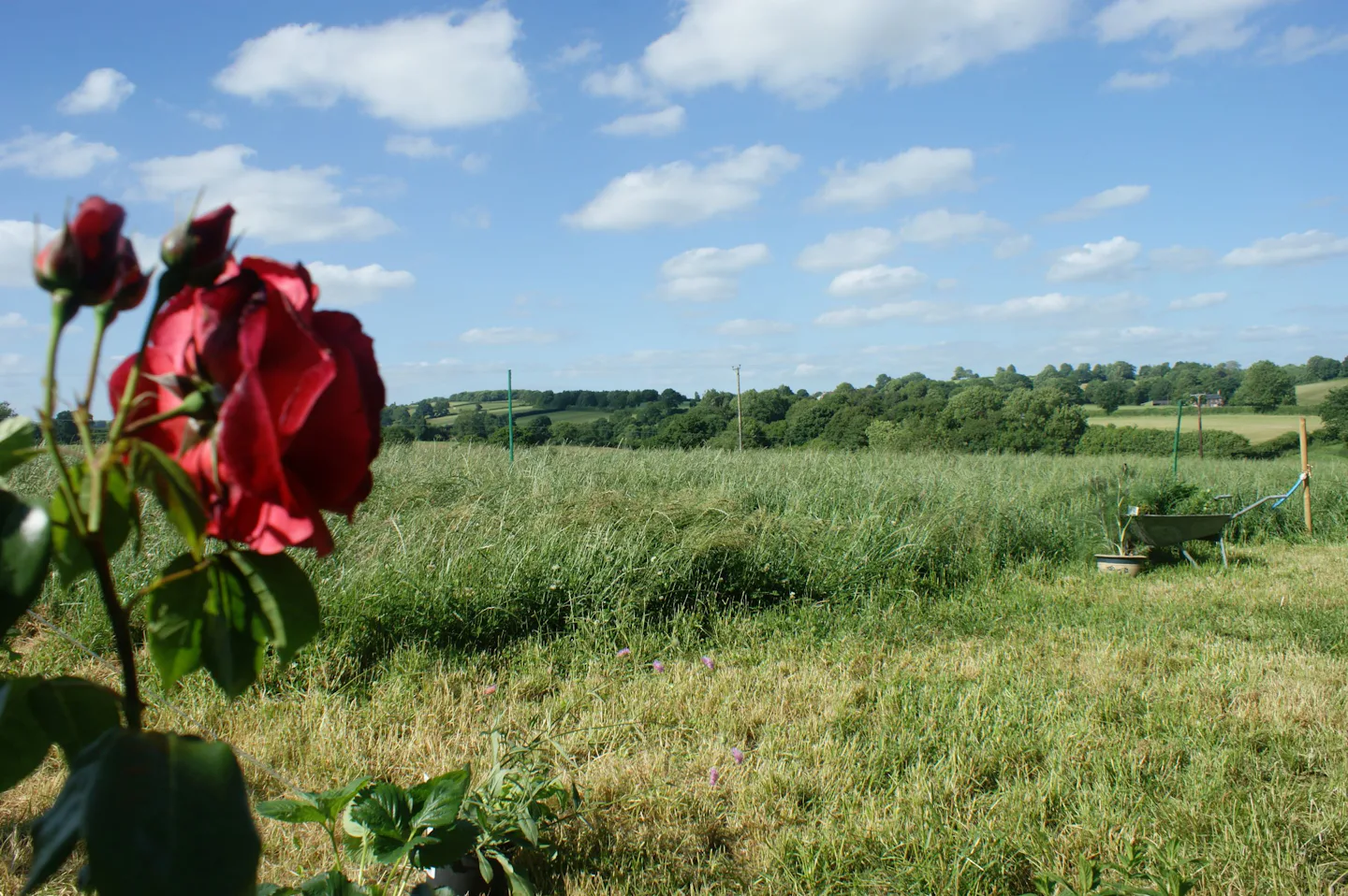 Pineapple Farm Holidays
