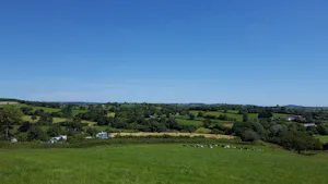 Pineapple Farm Holidays