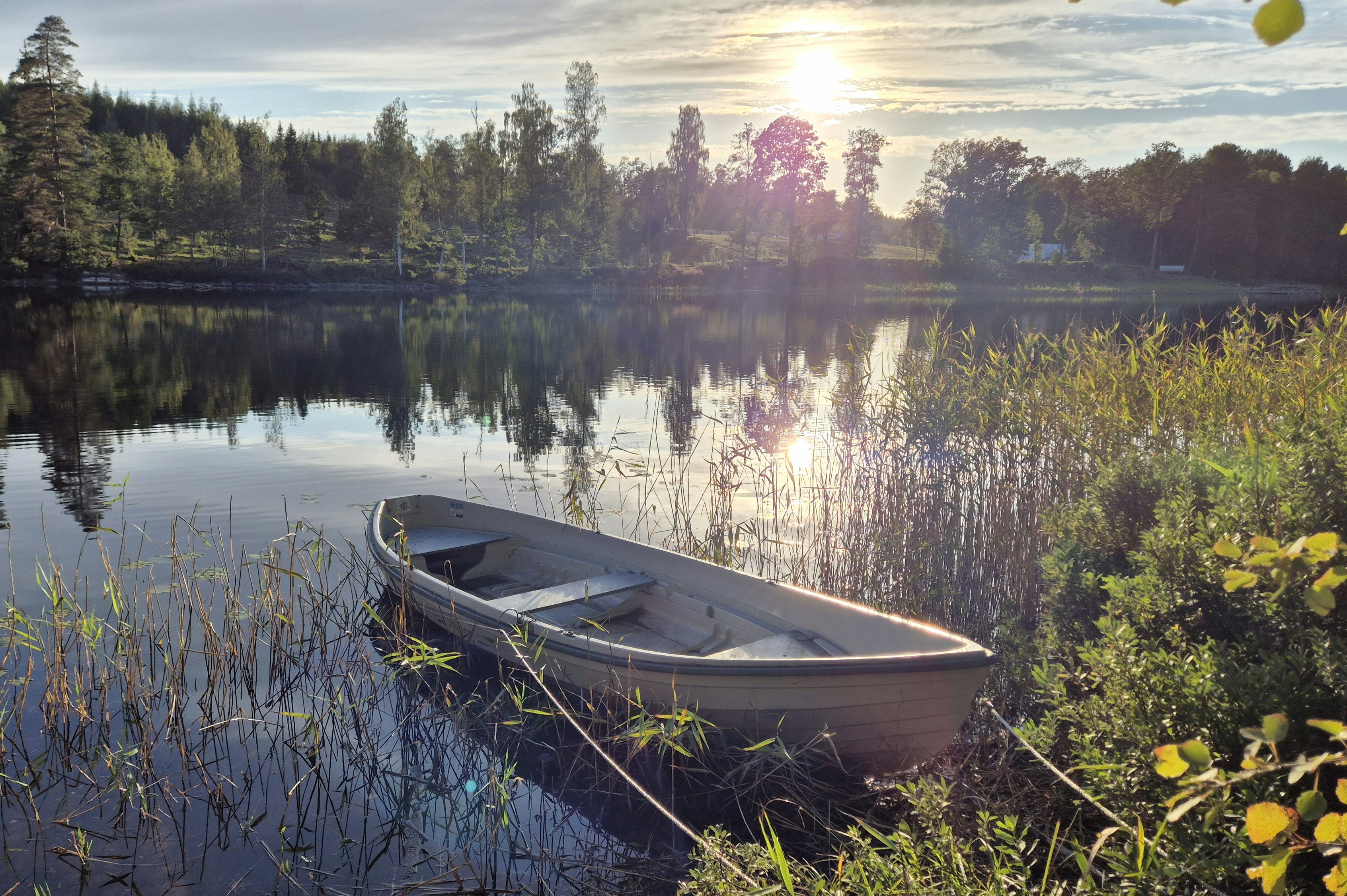 Pinnarp Camping