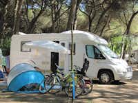 Piomboni Camping Village -  Wohnwagen- und Zeltstellplatz unter Bäumen auf dem Campingplatz