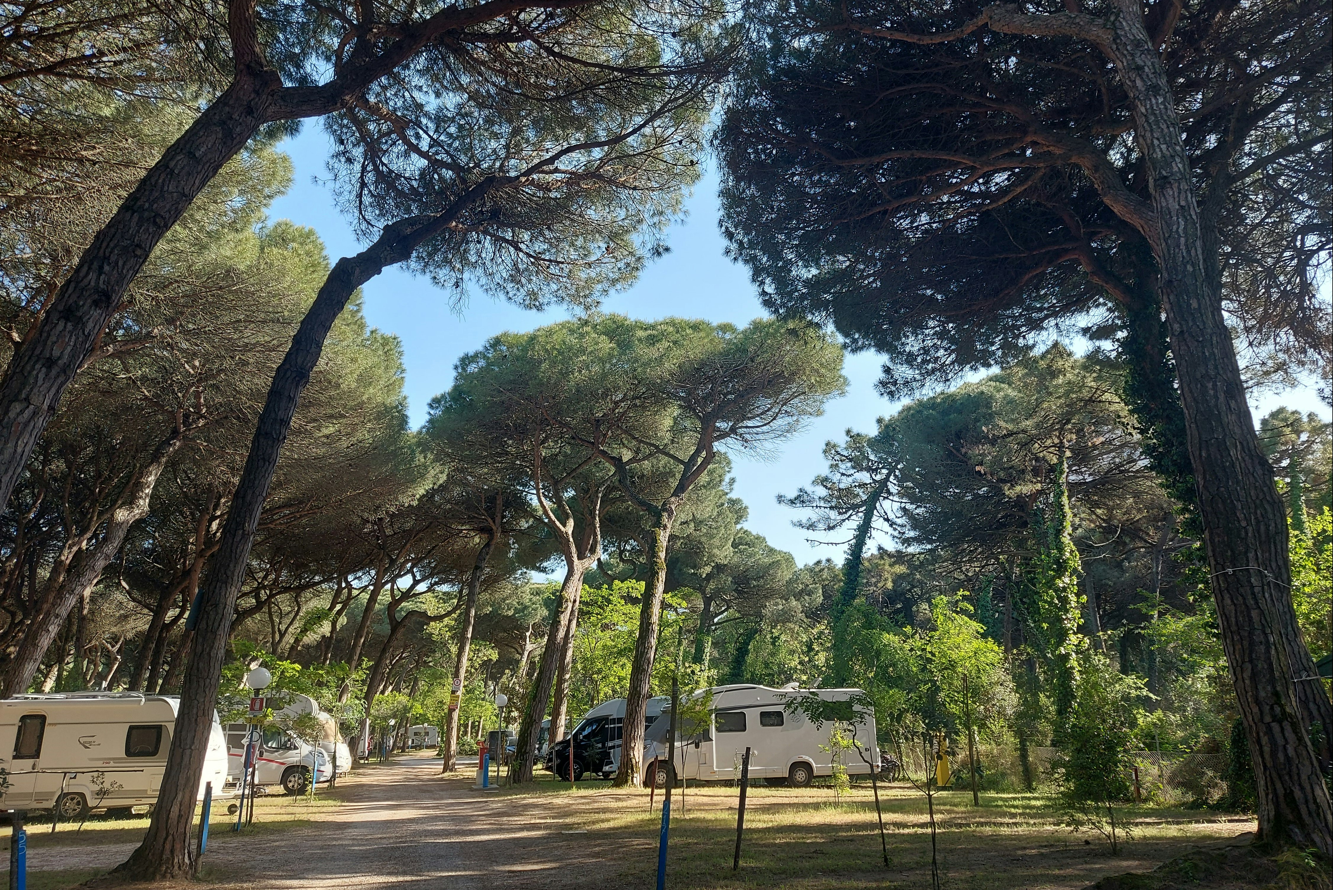 Piomboni Camping Village - Standplätze auf dem Campingplatz