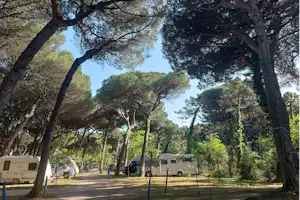 Piomboni Camping Village - Standplätze auf dem Campingplatz