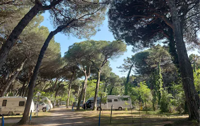 Piomboni Camping Village