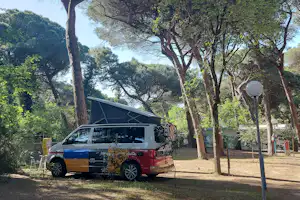 Piomboni Camping Village - Standplätze auf dem Campingplatz