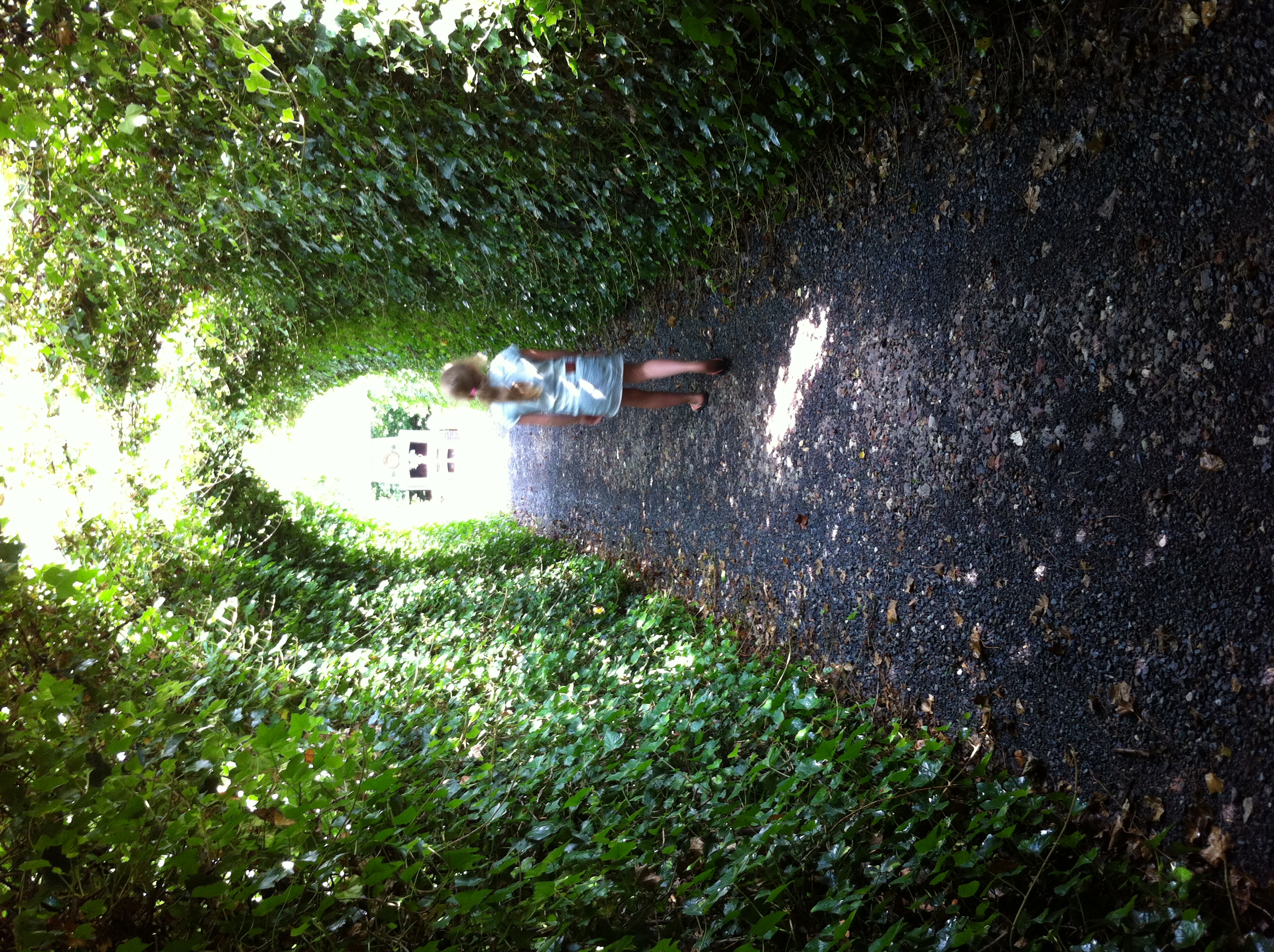 Pipowagen Camping Puur Genieten