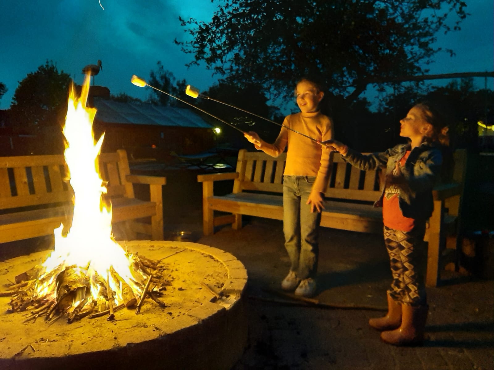 Pipowagen Camping Puur Genieten