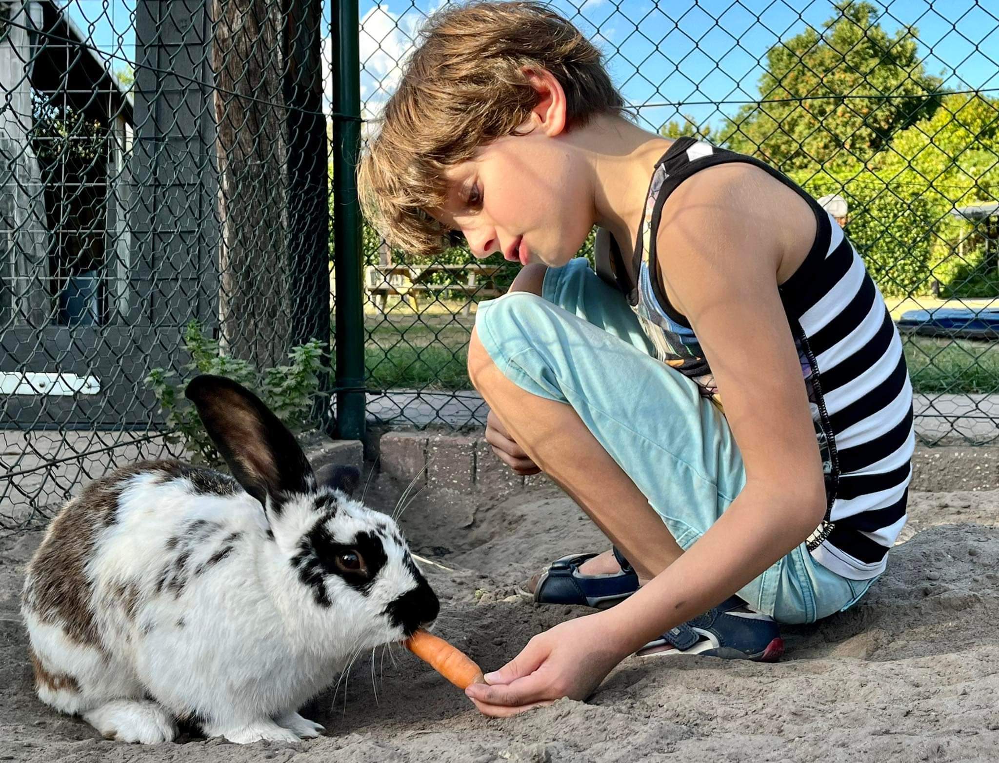 Pipowagen Camping Puur Genieten