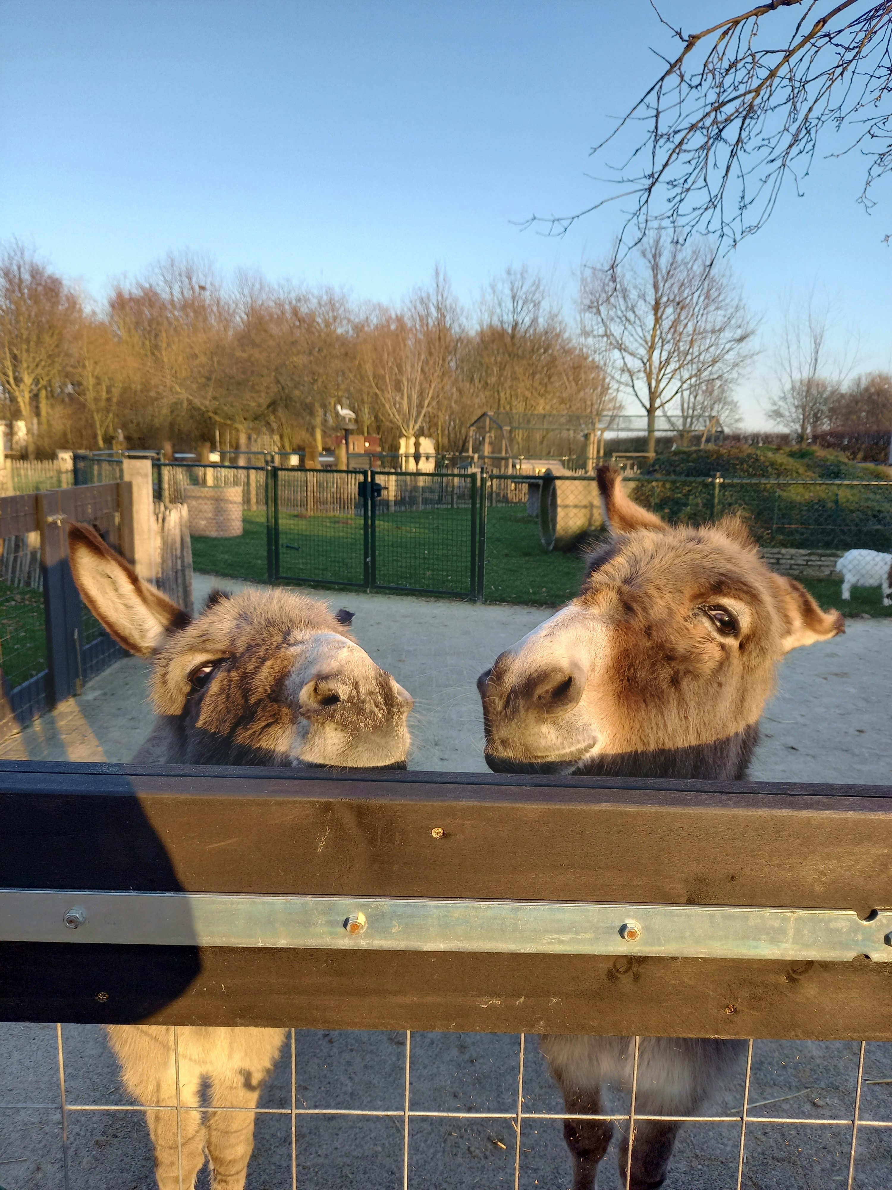 Pipowagen Camping Puur Genieten