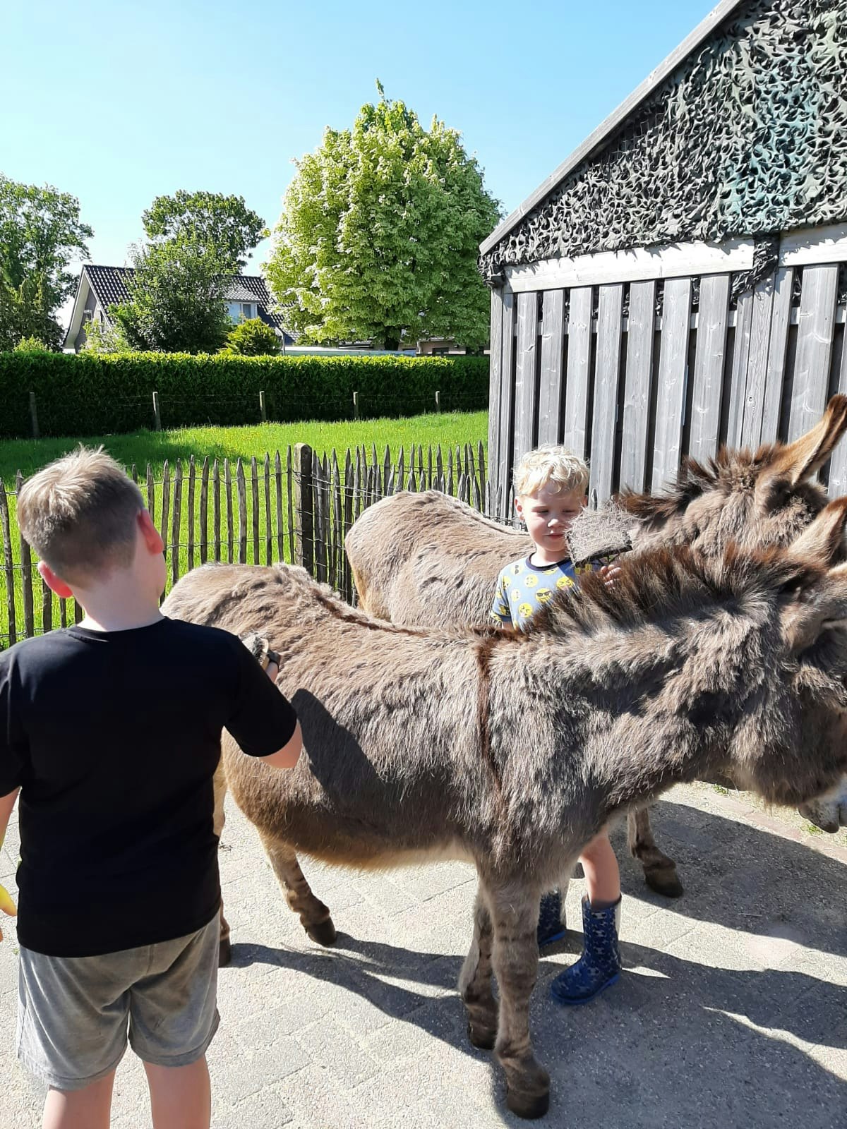 Pipowagen Camping Puur Genieten